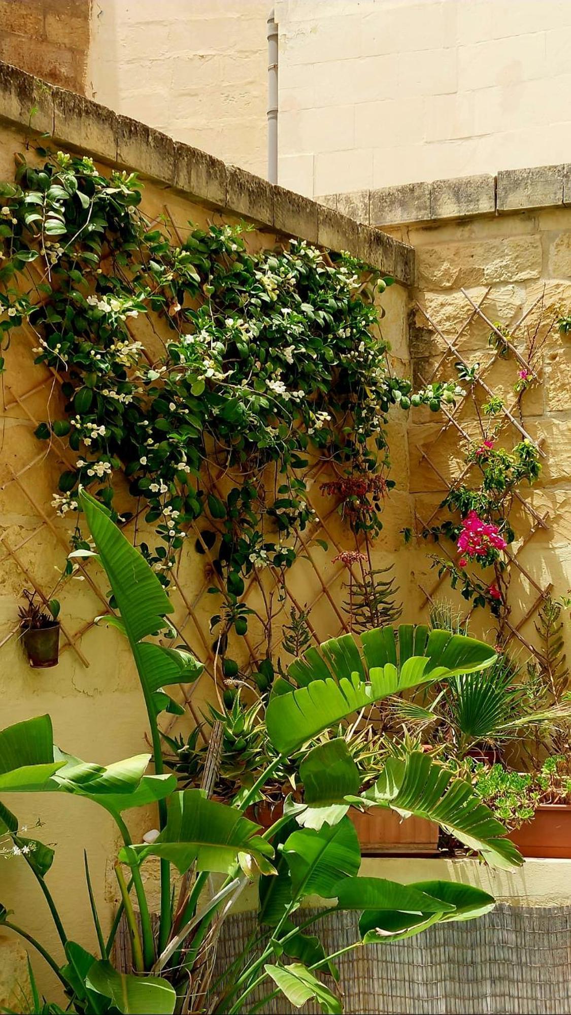 Ta' Didi B&B Kerċem Kültér fotó