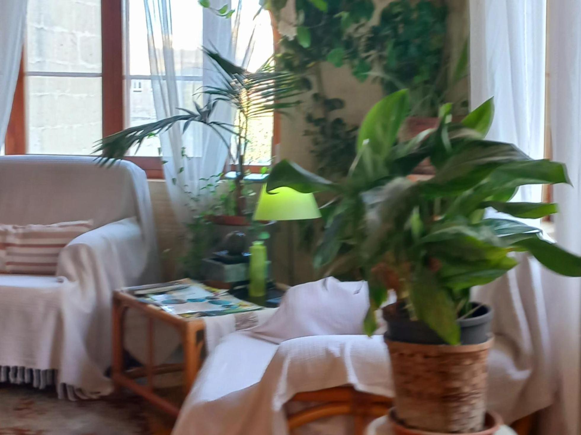 Ta' Didi B&B Kerċem Kültér fotó