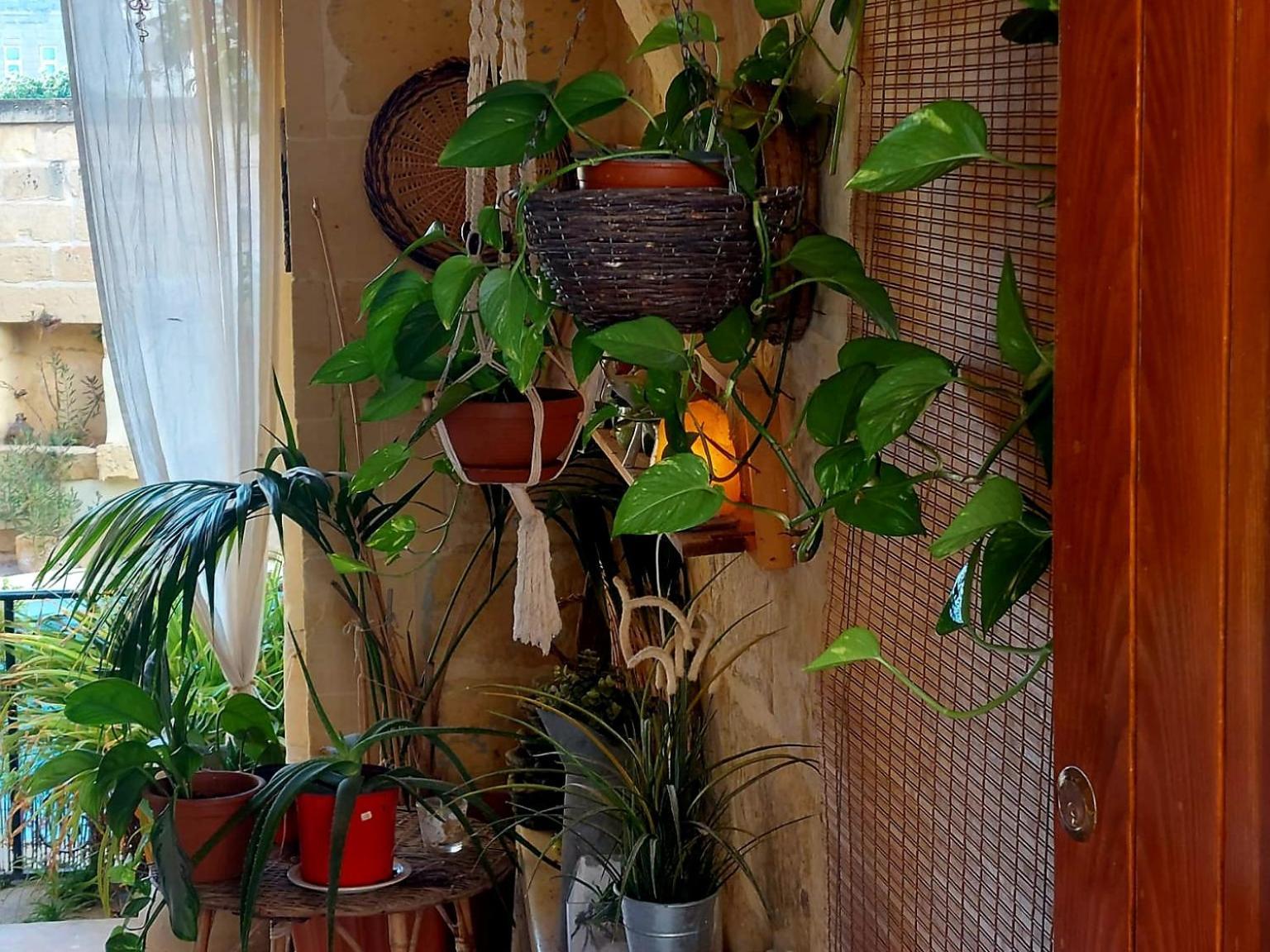 Ta' Didi B&B Kerċem Kültér fotó